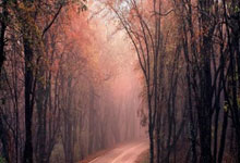 开云官网-乒乓球女子团体赛抢眼一幕，激战连连的简单介绍